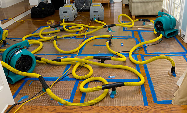 Professional Water Extraction technician working in Sheridan, IN